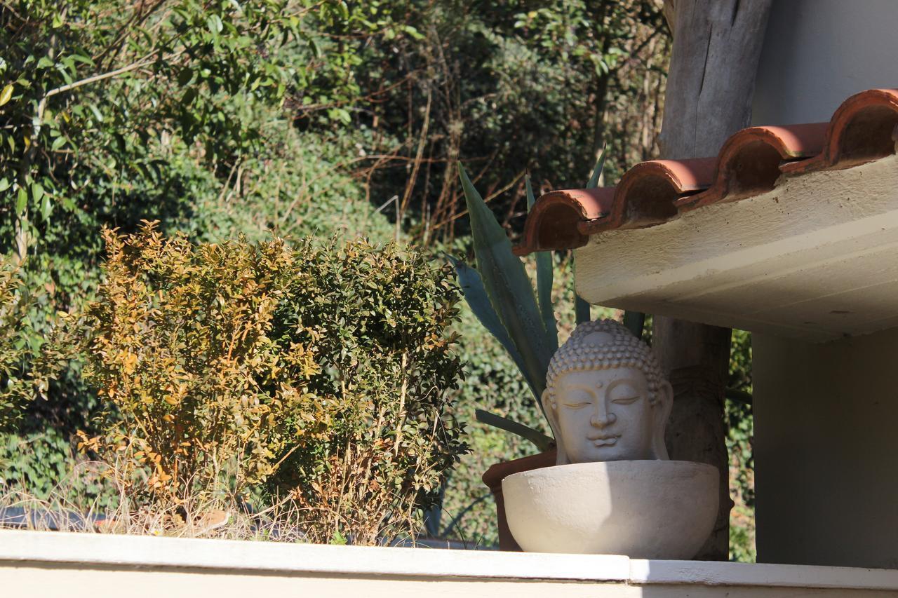 Home Meditamondo Fano Exterior foto