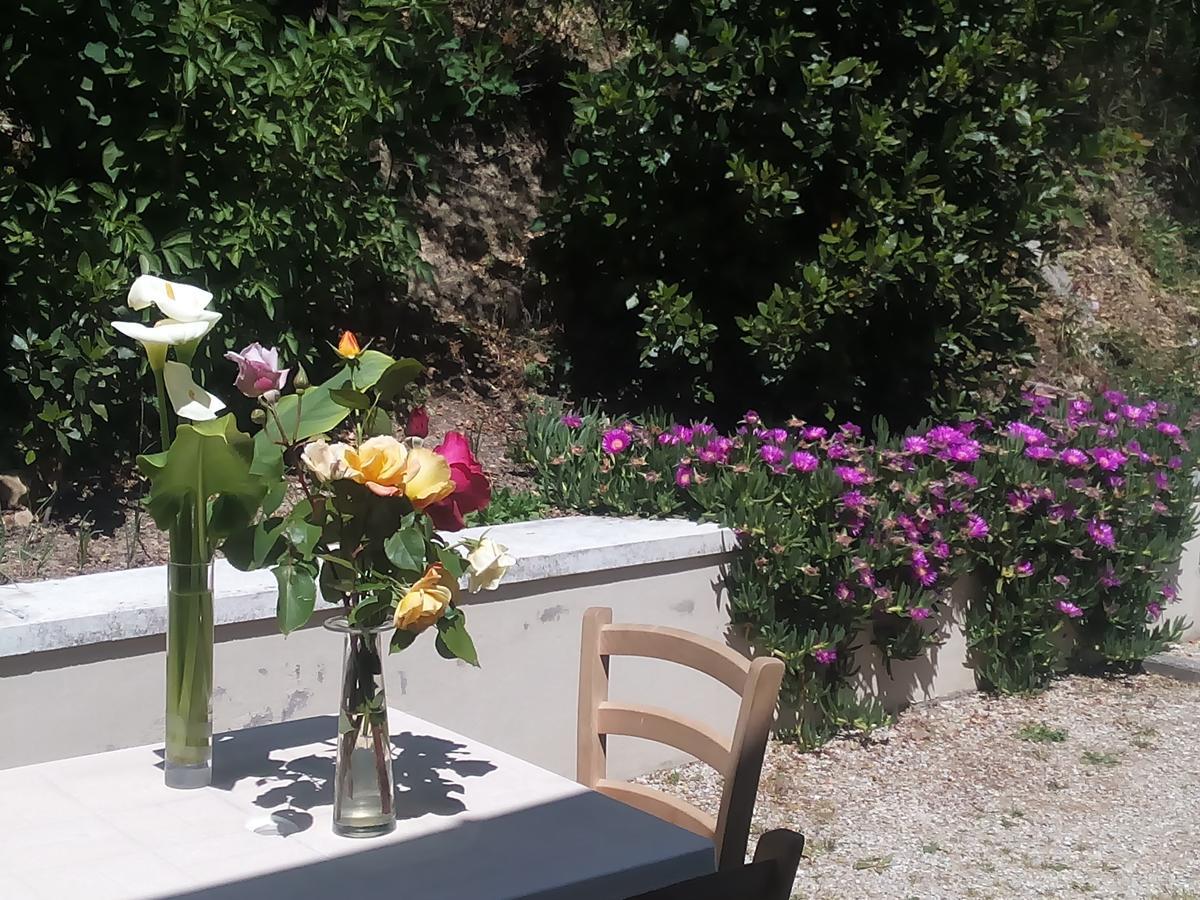 Home Meditamondo Fano Exterior foto